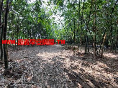 白河農地-嘉義早安房屋視意圖